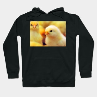 Chicks Hoodie